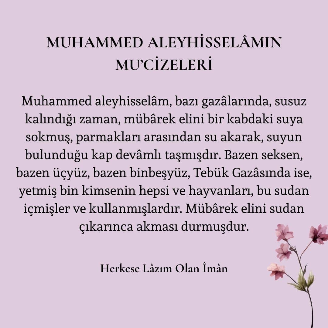 Mucizeleri (3)